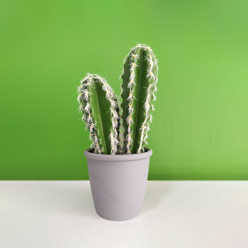 Artificial Cactus Plant with Pot