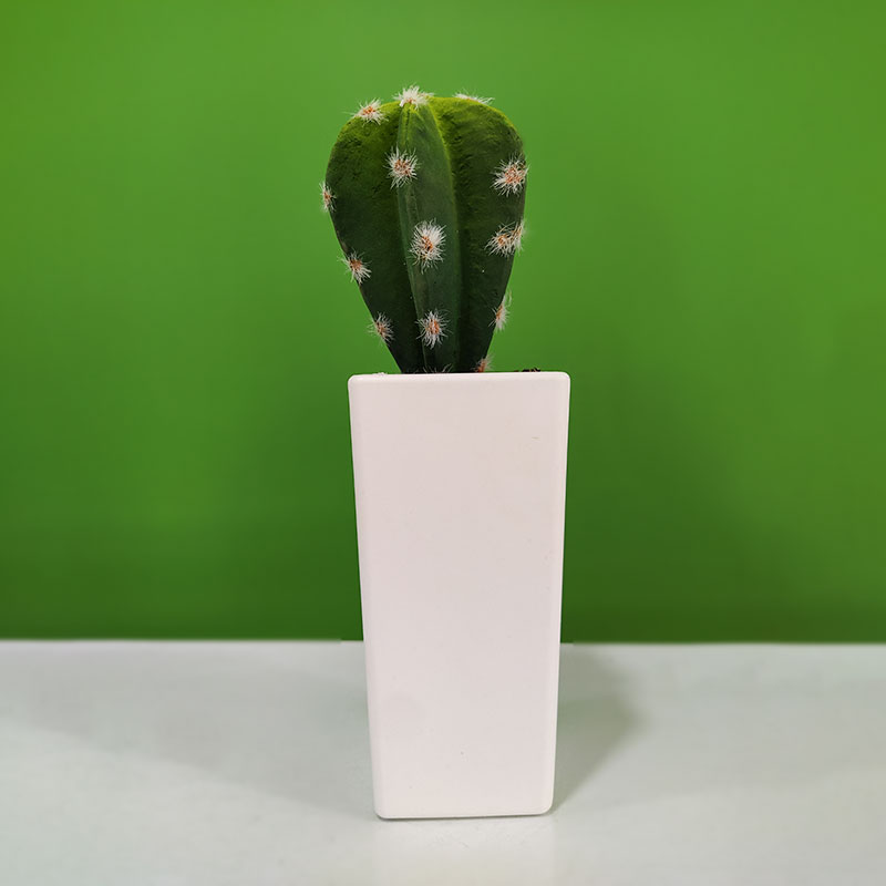 Artificial Cactus with Pot