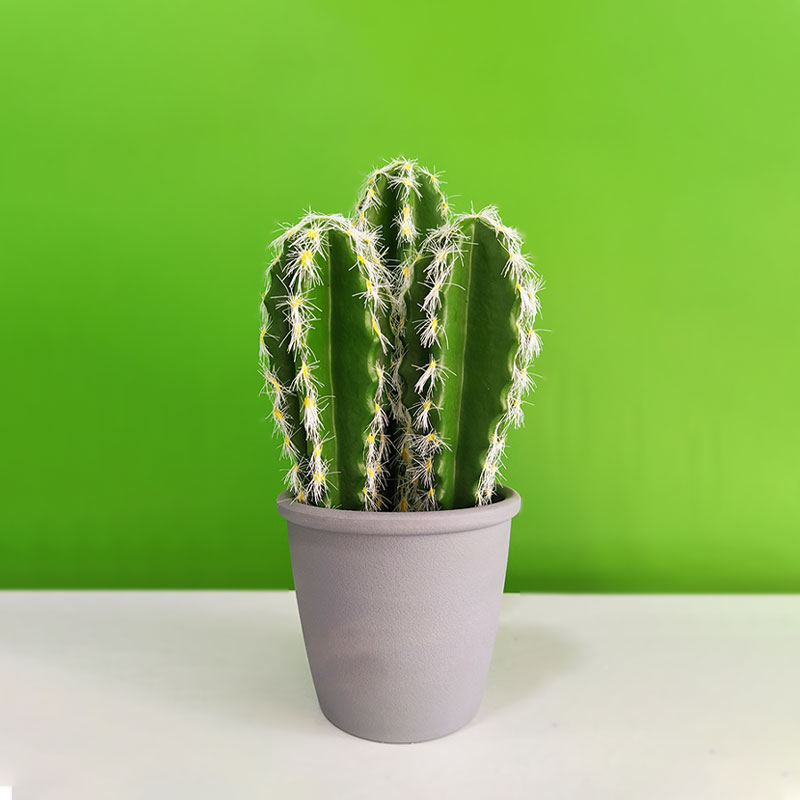 Artificial Cactus Plant with Pot