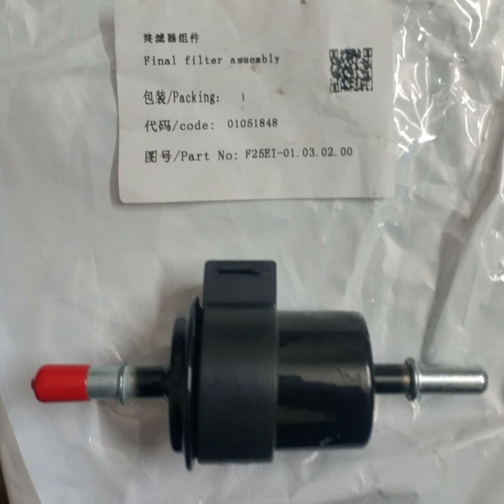 Final Filter Assembly