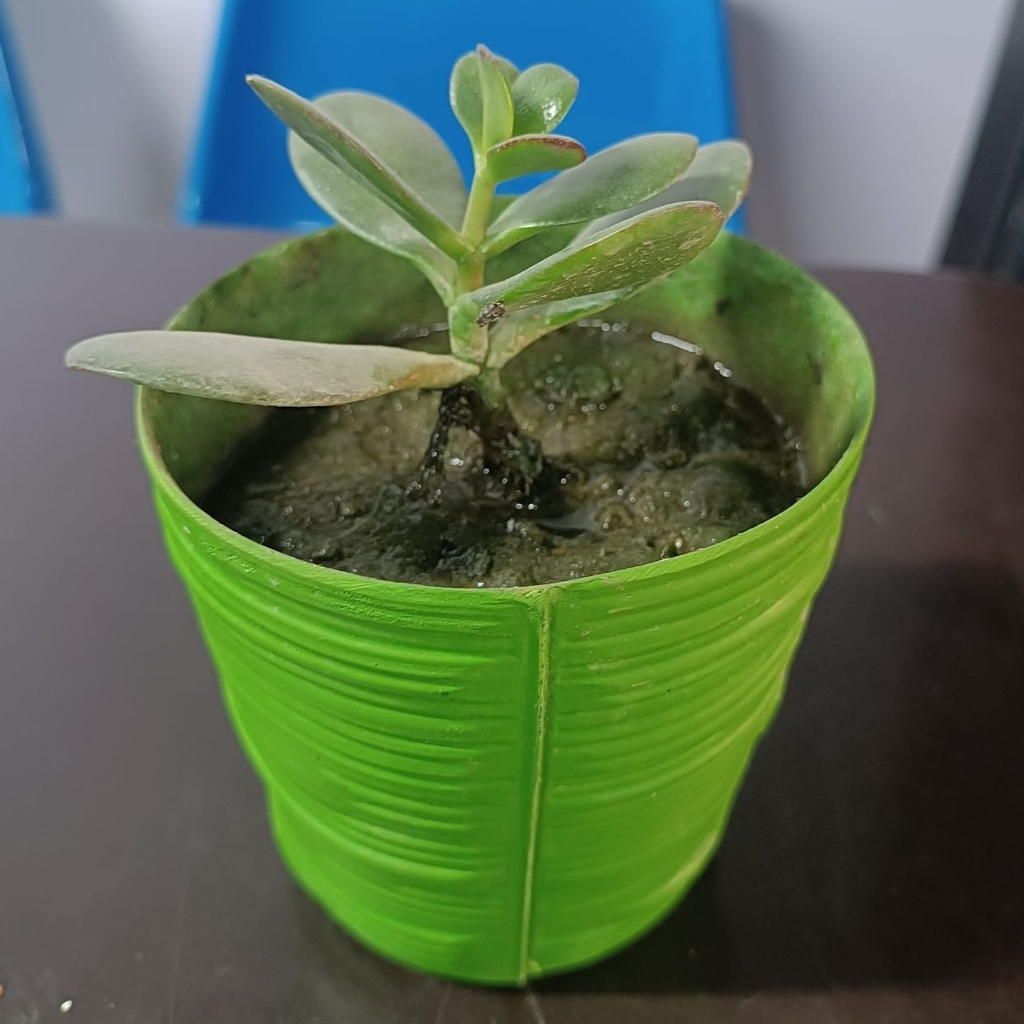 Flowerpot 4" x 4"