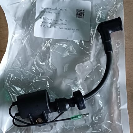 Ignition coil (short)