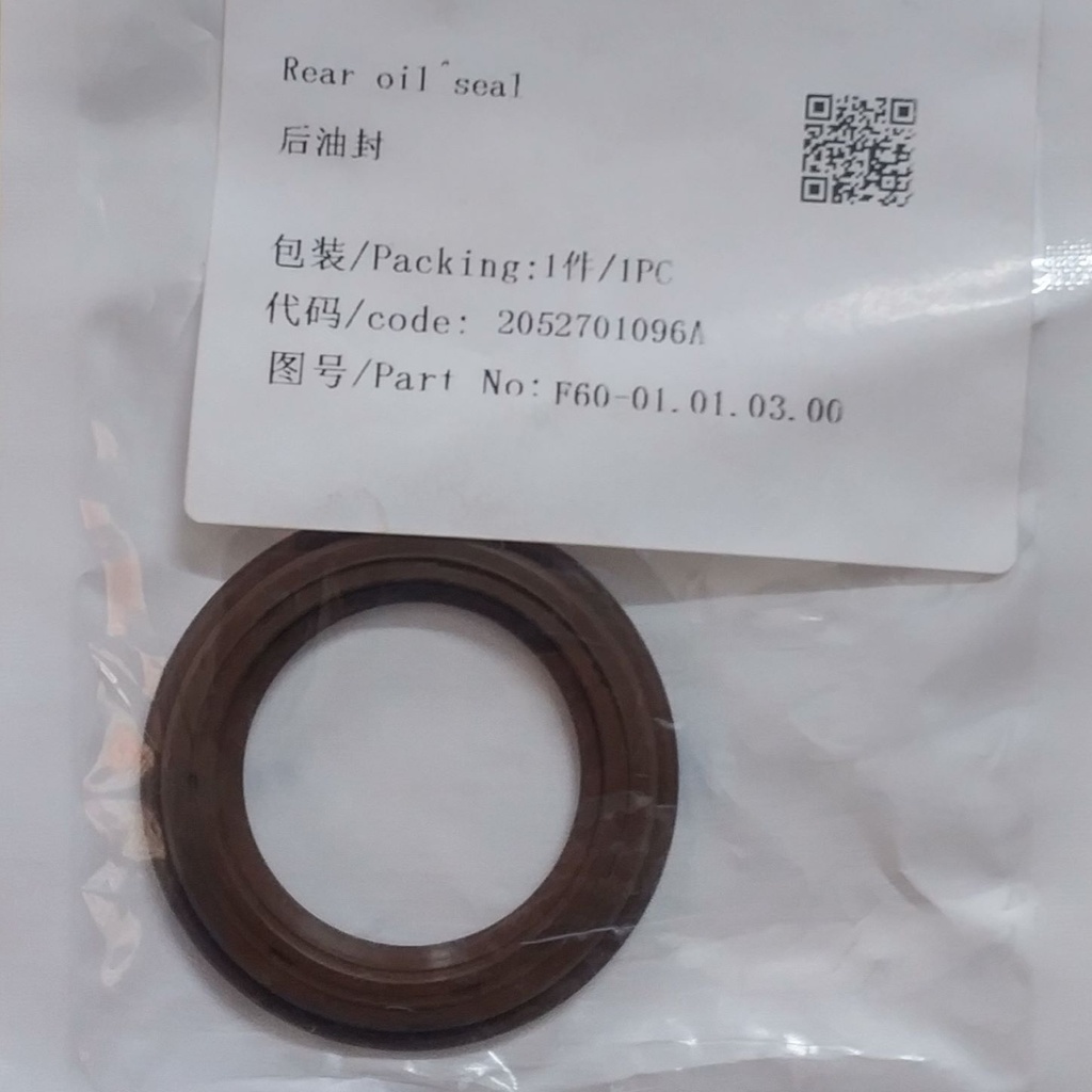 Rear oil seal