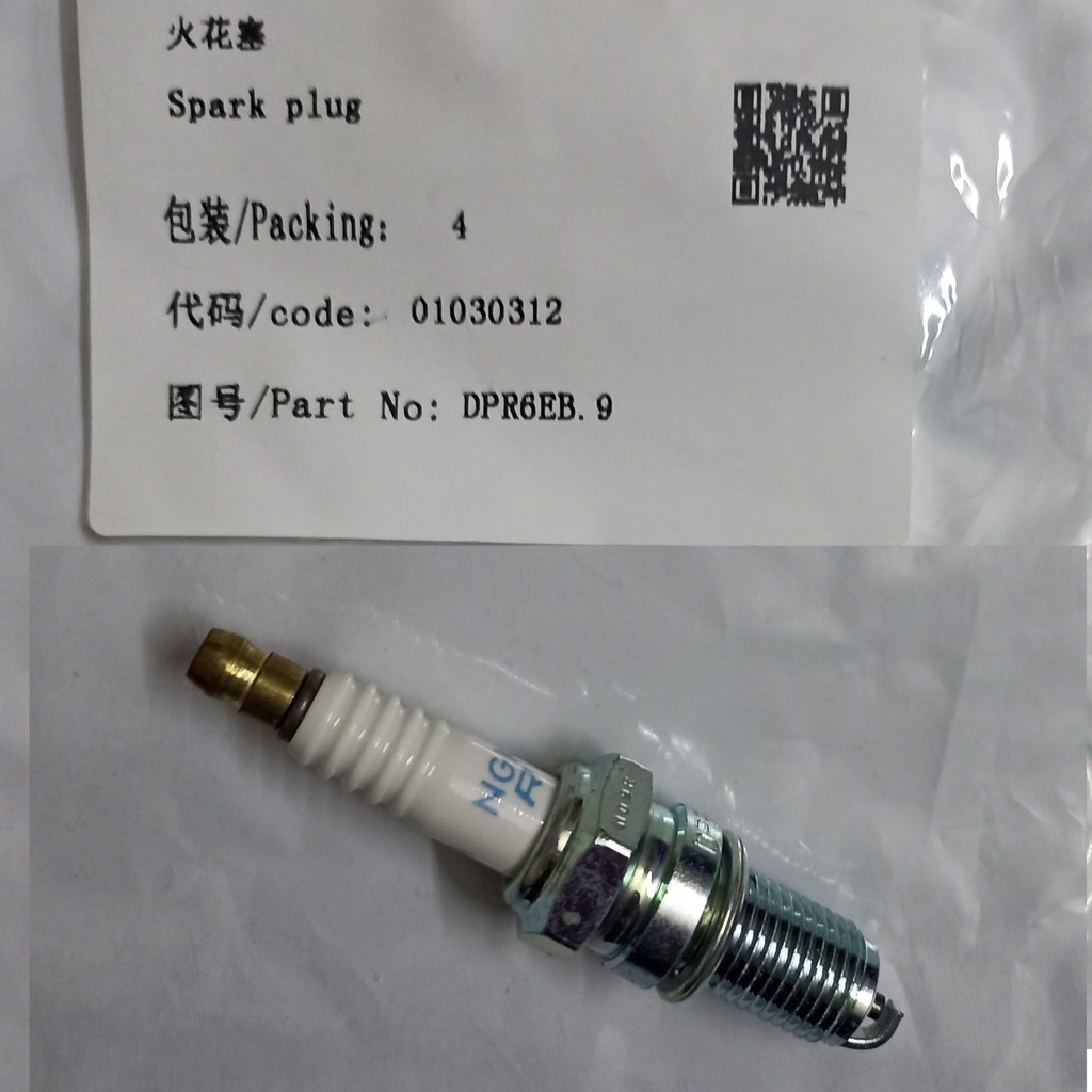Spark plug 60HP