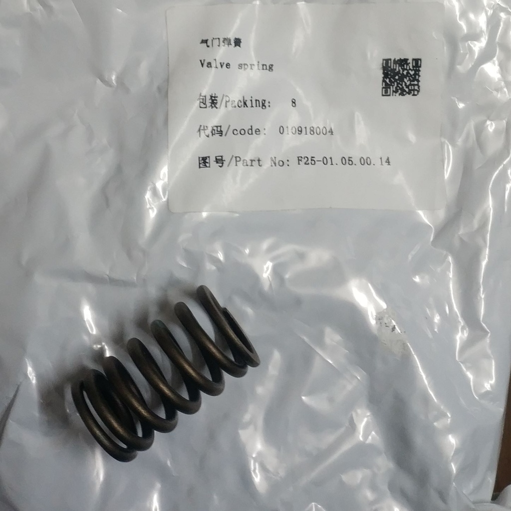 Valve spring