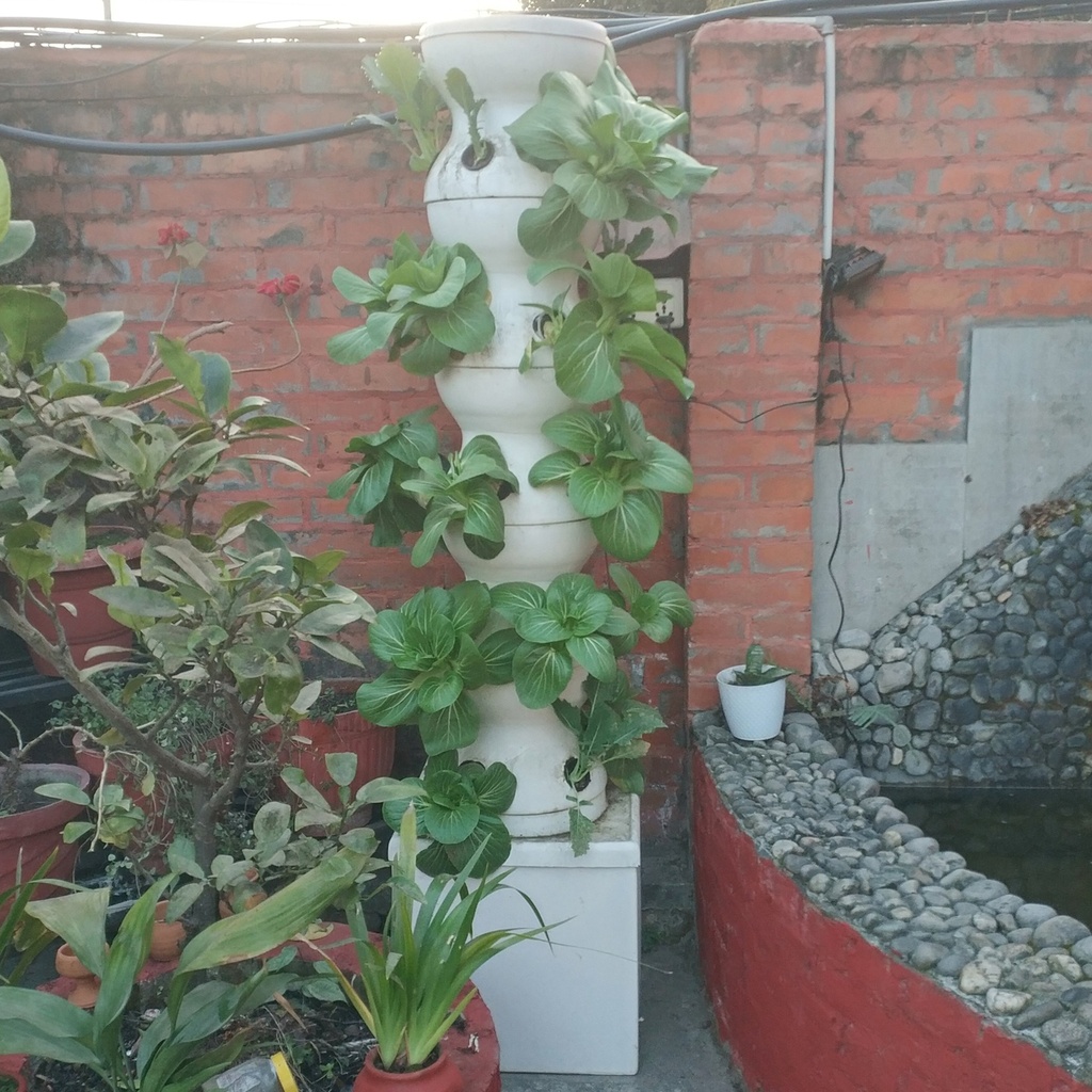 Hydroponic tower for 30 plants