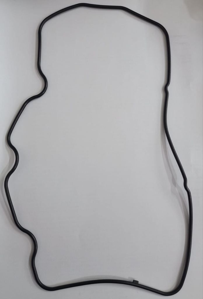 Cylinder Head Cover Gasket