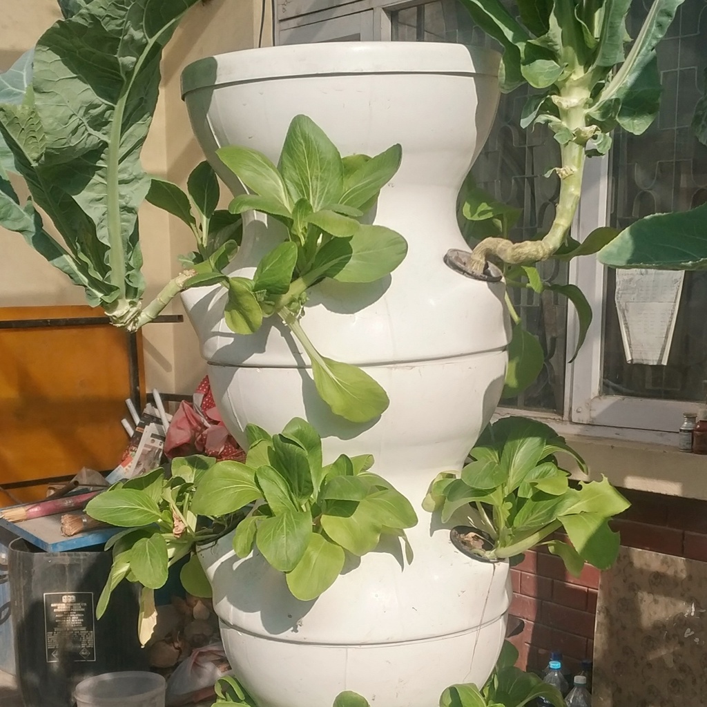 Hydroponic bin for 5 plants