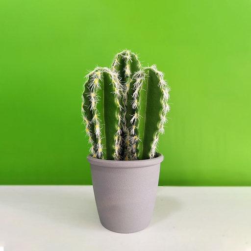 [Y87-2] Artificial Cactus Plant with Pot