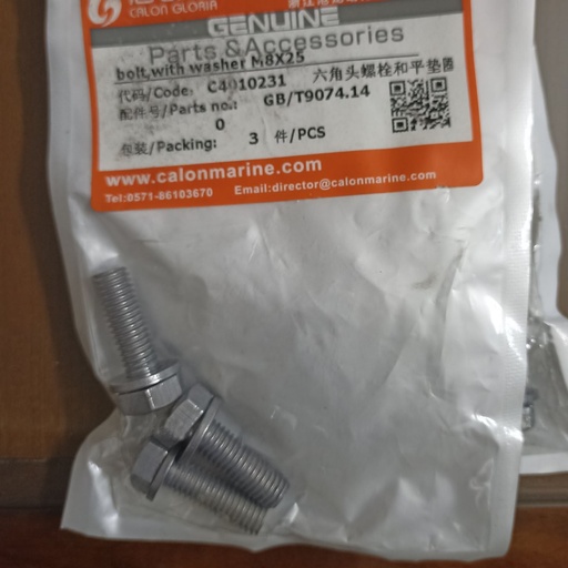 [C4010231] Bolt with Washer M8X25