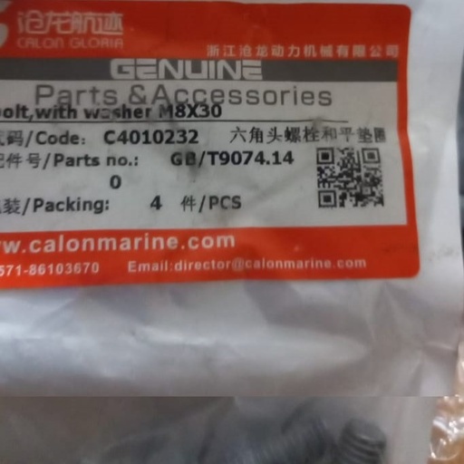 [C4010232] Bolt with Washer M8X30
