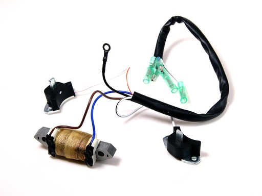 [30F-01.02.04.00] Charging Coil & Ignition Coil Comp