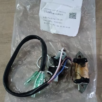 [30F-01.02.04.00] Charging Coil & Ignition Coil Comp