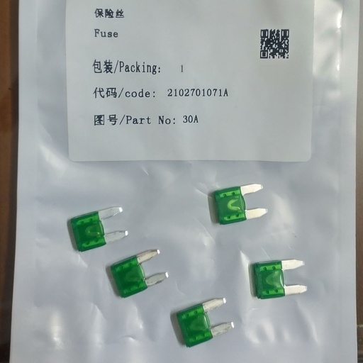 [2102701071A] Fuse (for EFI) (green)