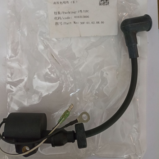 [30F-01.02.08.00] Ignition coil (long)