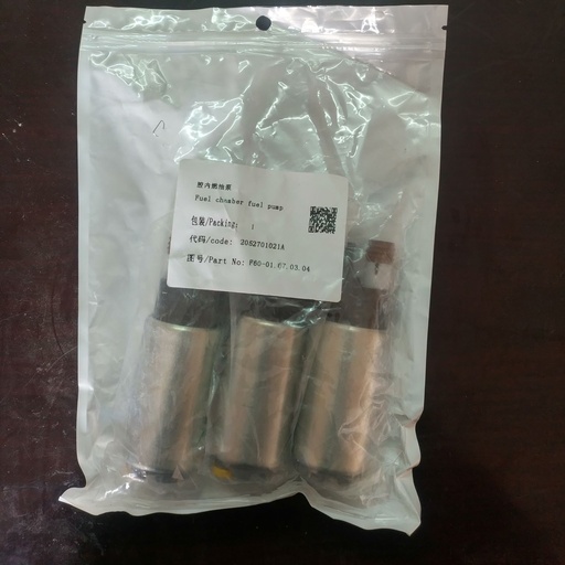 [F60-01.07.03.04] In-Cavity Fuel Pump/Fuel Chamber Fuel Pump