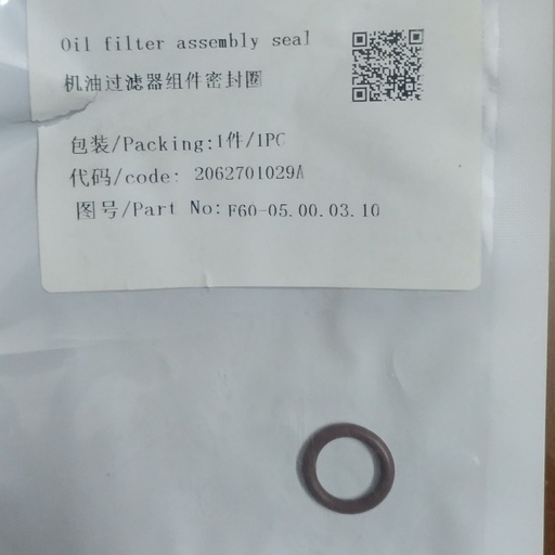 [2062701029A] Oil filter assembly seal