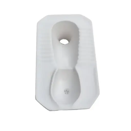 [S-PAN-WCUR] WC Ecosan Pan with Urinal and P-Trap