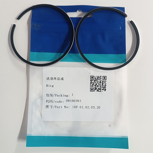 [30F-01.02.03.20] Ring