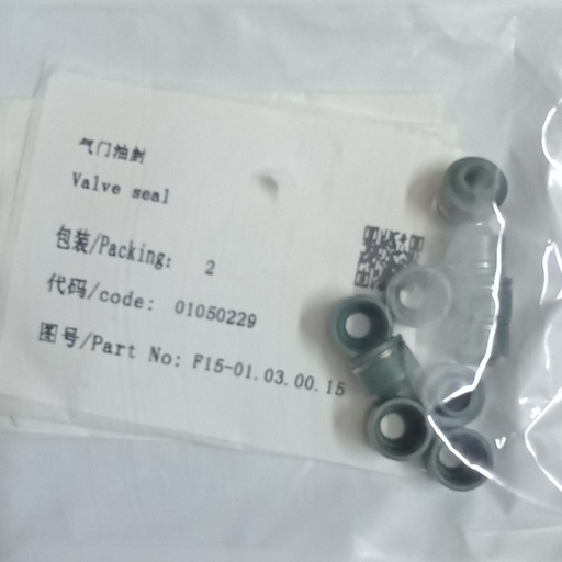 [F15-01.03.00.15] Valve seal 