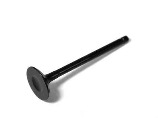 [F60-01.04.00.12] Exhaust Valve 